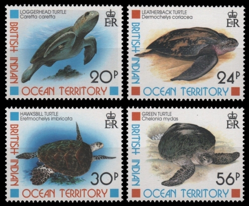 BIOT 1996 - Mi-Nr. 188-191 ** - MNH - Schildkröten / Turtles