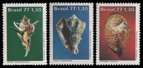 Brasilien 1977 - Mi-Nr. 1604-1606 ** - MNH - Meeresschnecken / Marine snails