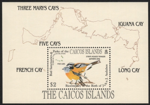 Caicos-Inseln 1985 - Mi-Nr. Block 8 ** - MNH - Vögel / Birds - Audubon