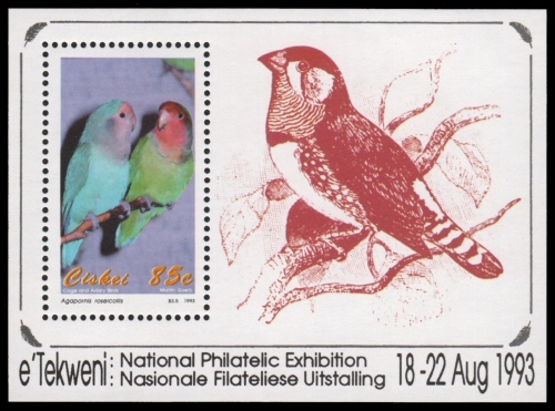 Ciskei 1993 - Mi-Nr. Block 8 ** - MNH - Vögel / Birds