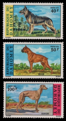 Dahomey 1974 - Mi-Nr. 554-556 ** - MNH - Hunde / Dogs