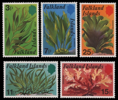 Falkland 1979 - Mi-Nr. 279-283 ** - MNH - Seetang / Seaweed