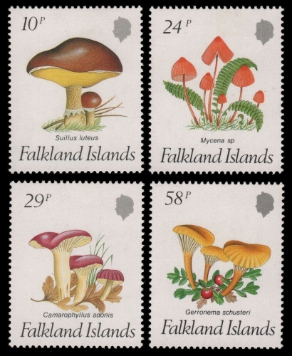 Falkland 1987 - Mi-Nr. 468-471 ** - MNH - Pilze / Mushrooms