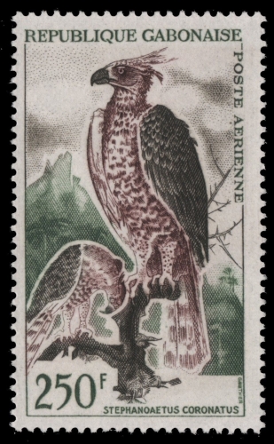 Gabun 1964 - Mi-Nr. 207 ** - MNH - Vögel / Birds