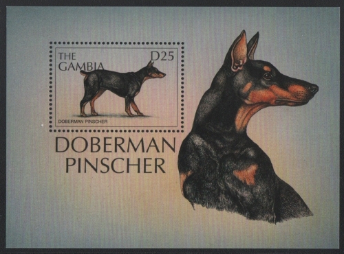 Gambia 1997 - Mi-Nr. Block 367 ** - MNH - Hunde / Dogs