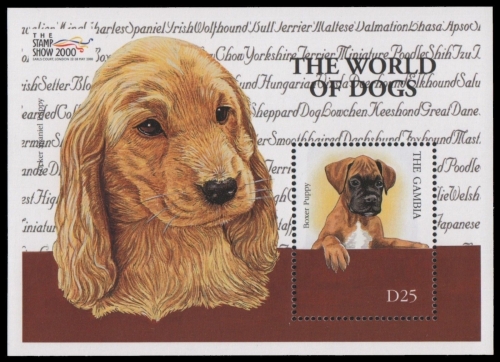 Gambia 2000 - Mi-Nr. Block 482 ** - MNH - Hunde / Dogs