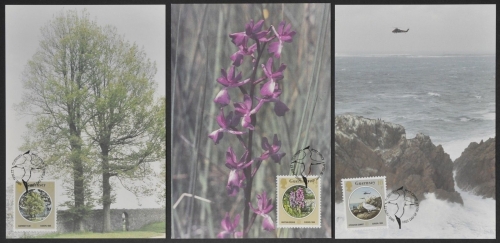 Guernsey 1986 - Mi-Nr. 358-360 - 3 Maxikarten - Fauna & Flora