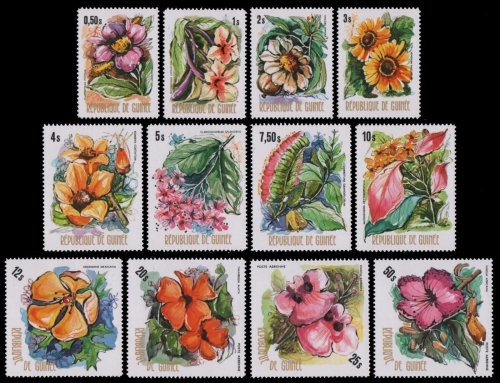 Guinea 1974 - Mi-Nr. 688-699 ** - MNH - Blumen / Flowers