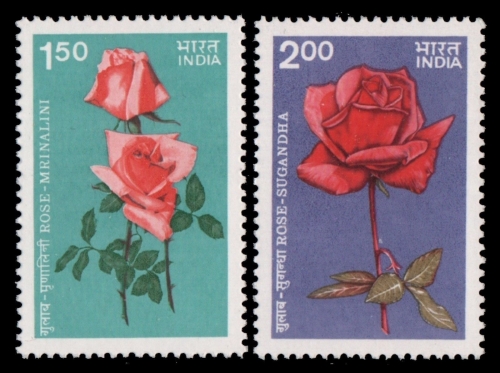 Indien 1984 - Mi-Nr. 1008-1009 ** - MNH - Rosen / Roses