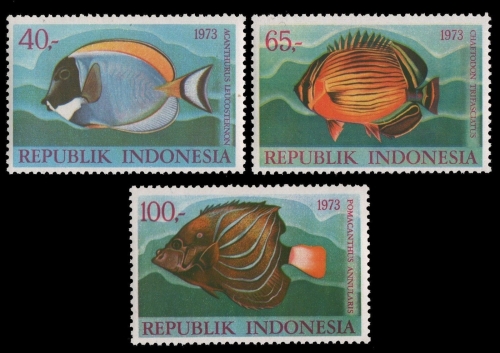 Indonesien 1973 - Mi-Nr. 747-749 ** - MNH - Fische / Fish