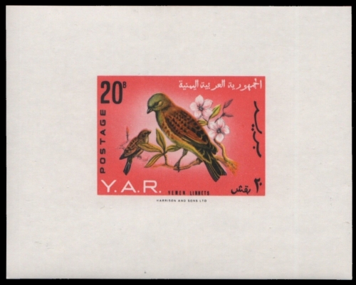 Jemen-Arabische Republik 1965 - Mi-Nr. Block 34 ** - MNH - Vögel / Birds
