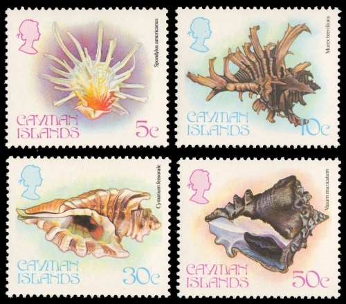 Kaiman-Inseln 1980 - Mi-Nr. 448-451 ** - MNH - Meeresschnecken / Marine snails