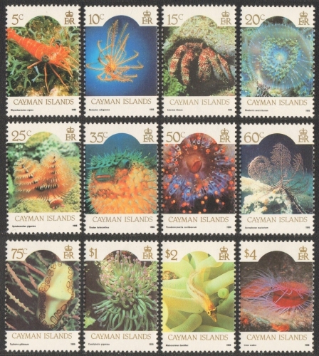 Kaiman-Inseln 1986 - Mi-Nr. 572-583 I ** - MNH - Meerestiere / Marine life