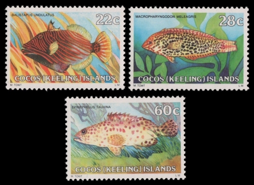 Kokos-Inseln 1980 - Mi-Nr. 50-52 ** - MNH - Fische / Fish