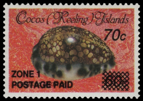 Kokos-Inseln 1991 - Mi-Nr. 242 ** - MNH - Meeresschnecken / Marine snails