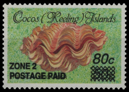 Kokos-Inseln 1991 - Mi-Nr. 243 ** - MNH - Meeresschnecken / Marine snails