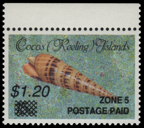 Kokos-Inseln 1991 - Mi-Nr. 244 ** - MNH - Meeresschnecken / Marine snails (I)