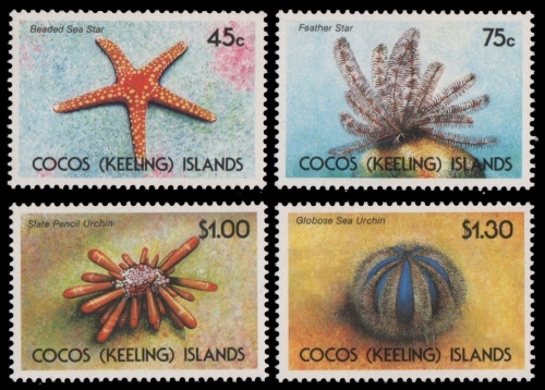 Kokos-Inseln 1991 - Mi-Nr. 245-248 ** - MNH - Meerestiere / Marine life