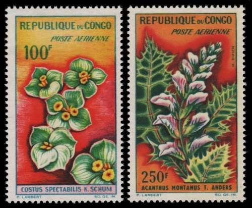 Kongo-Brazzaville 1963 - Mi-Nr. 28 & 34 ** - MNH - Pflanzen / Plants