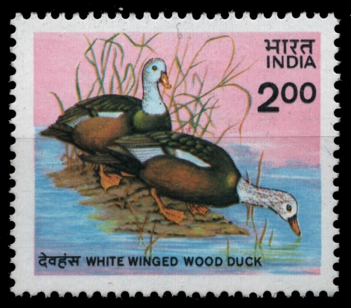 Indien 1985 - Mi-Nr. 1021 ** - MNH - Enten / Ducks