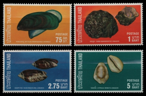 Thailand 1975 - Mi-Nr. 768-771 ** - MNH - Meeresschnecken / Marine snails