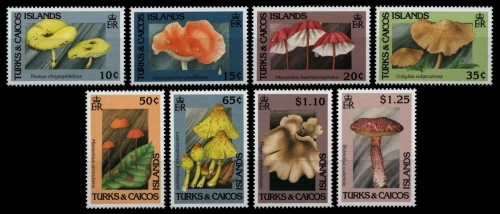 Turks- & Caicos 1991 - Mi-Nr. 1009-1016 ** - MNH - Pilze / Mushrooms
