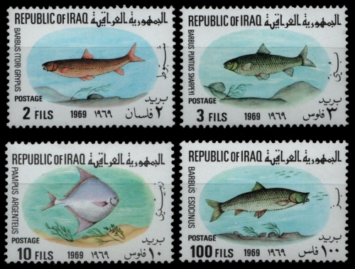 Irak 1969 - Mi-Nr. 548-551 ** - MNH - Fische / Fish