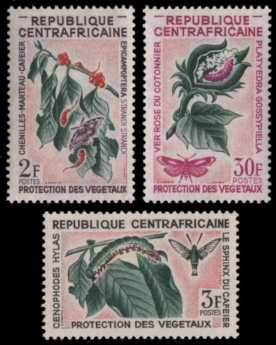 Zentralafrikanische Rep. 1965 - Mi-Nr. 88-90 ** - MNH - Insekten / Insects