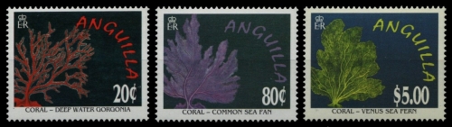 Anguilla 1996 - Mi-Nr. 961-963 ** - MNH - Korallen / Corals