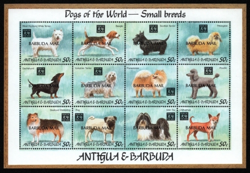 Barbuda 1995 - Mi-Nr. 1660-1671 ** - MNH - Hunde / Dogs