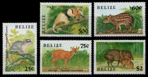 Belize 1989 - Mi-Nr. 1014-1018 ** - MNH - Wildtiere / Wild animals