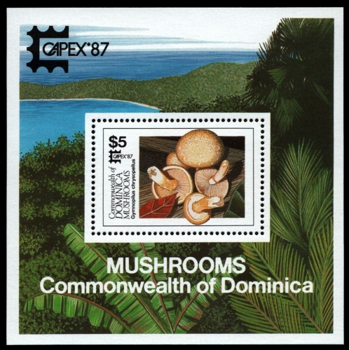Dominica 1987 - Mi-Nr. Block 120 ** - MNH - Pilze / Mushrooms