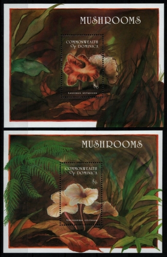 Dominica 1994 - Mi-Nr. Block 260-261 ** - MNH - Pilze / Mushrooms