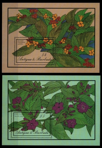 Antigua 1986 - Mi-Nr. Block 113-114 ** - MNH - Blumen / Flowers