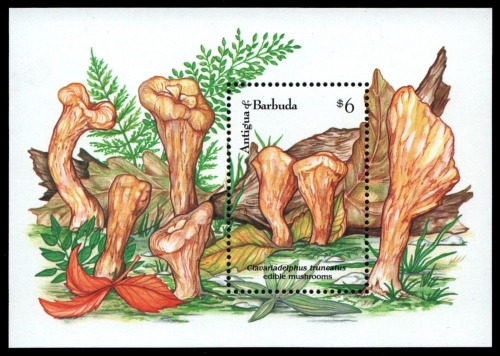 Antigua 1992 - Mi-Nr. Block 234 ** - MNH - Pilze / Mushrooms