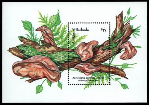 Antigua 1992 - Mi-Nr. Block 235 ** - MNH - Pilze / Mushrooms