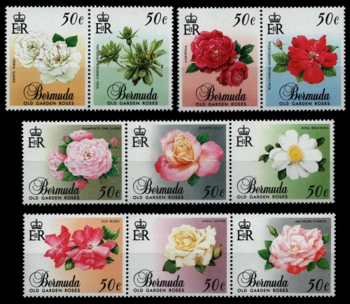 Bermuda 1989 - Mi-Nr. 555-564 ** - MNH - Rosen / Roses