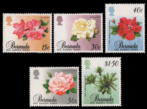 Bermuda 1988 - Mi-Nr. 525-529 ** - MNH - Rosen / Roses