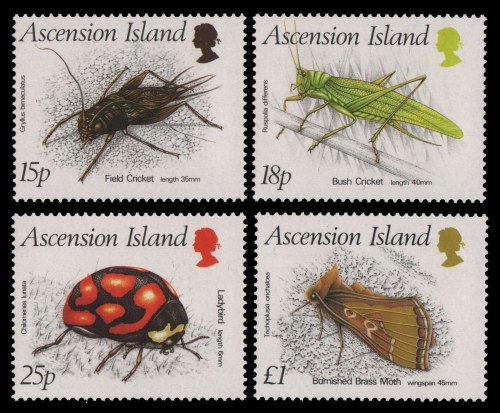 Ascension 1988 - Mi-Nr. 453-456 ** - MNH - Insekten / Insects