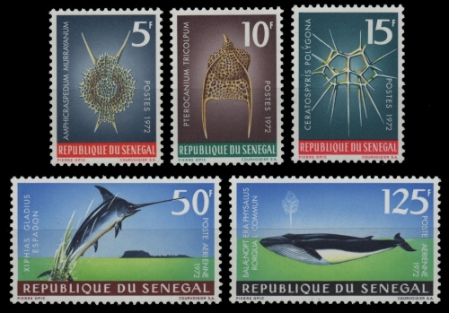 Senegal 1972 - Mi-Nr. 505-509 ** - MNH - Meeresleben / Marine life