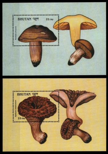 Bhutan 1989 - Mi-Nr. Block 198-199 ** - MNH - Pilze / Mushrooms