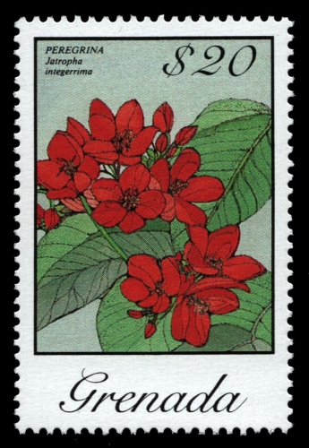 Grenada 1986 - Mi-Nr. 1490 ** - MNH - Blumen / Flowers