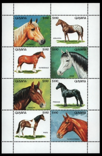 Guyana 1992 - Mi-Nr. 3855-3862 ** - MNH - Pferde / Horses
