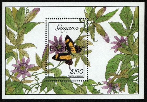 Guyana 1989 - Mi-Nr. Block 54 ** - MNH - Schmetterlinge / Butterflies