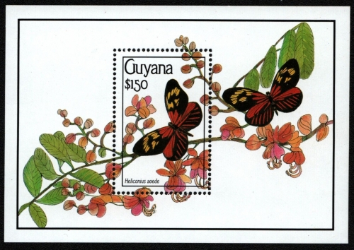 Guyana 1990 - Mi-Nr. Block 101 ** - MNH - Schmetterlinge / Butterflies