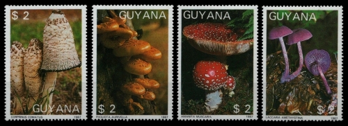 Guyana 1988 - Mi-Nr. 4 Werte Pilze aus 2076-2091 ** - MNH - Pilze / Mushrooms