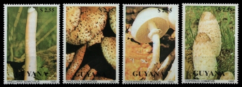Guyana 1990 - Mi-Nr. 3287-3290 ** - MNH - Pilze / Mushrooms