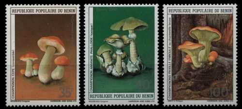 Benin 1985 - Mi-Nr. 419-421 ** - MNH - Pilze / Mushrooms