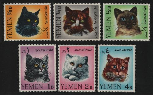 Jemen-Königreich 1965 - Mi-Nr. 173-178 ** - MNH - Katzen / Cats