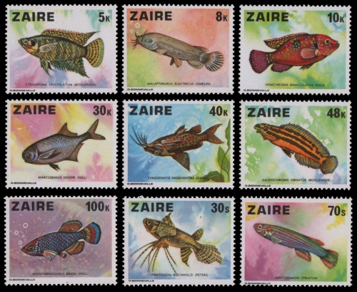Kongo-Zaire 1978 - Mi-Nr. 548-556 ** - MNH - Fische / Fish